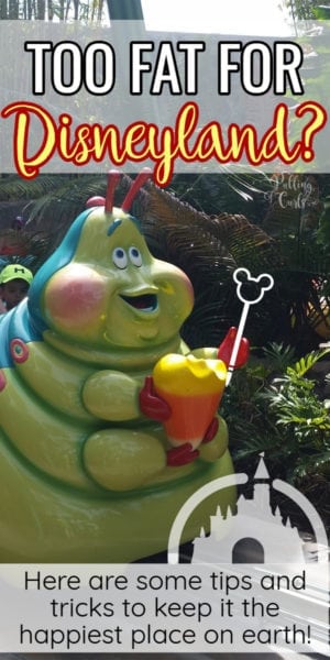 Disneyland fat friendly