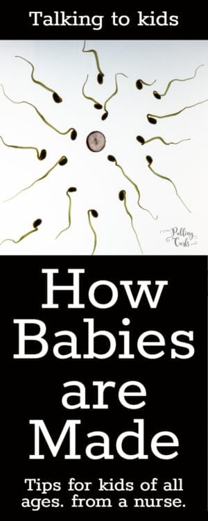 How to Explain Where Babies Come From