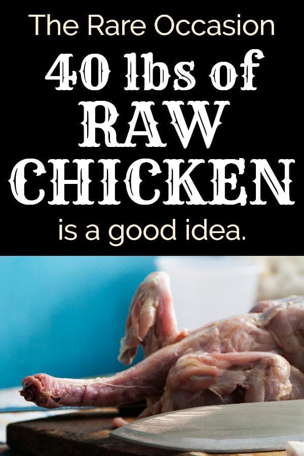 Buying Chicken in Bulk How to Process it A Savory Butcher Review & Coupon Code