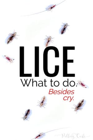 lice removal