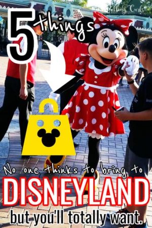 5 things to bring to Disneyland