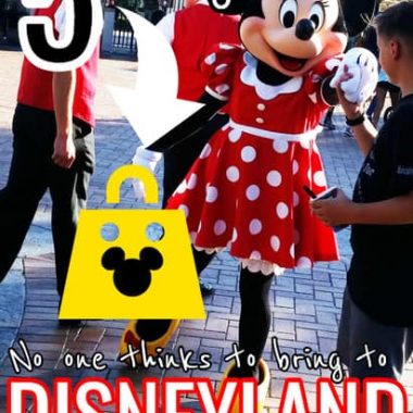 5 things to bring to Disneyland