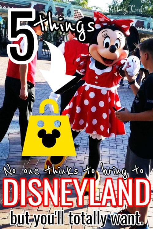 Disneyland is expensive -- so you want to get the BEST day with some preparation -- here are 5 things you'll WISH you had brough to Disneyland, that no one talks about.... things you might forget to bring