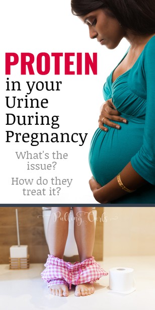 Having protein in your urine while pregnant isn't too unusual, but when you start to have +1 or +2 your doctor will start to become more concerned, as you enter the third trimester or 37 weeks. Let me tell you why.