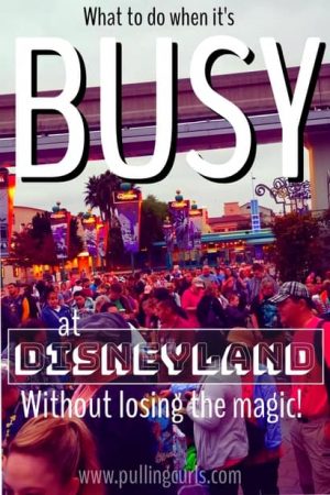 what to do on a busy day at Disneyland
