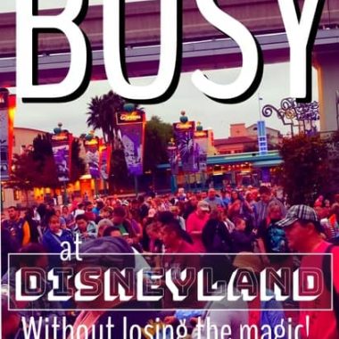 what to do on a busy day at Disneyland