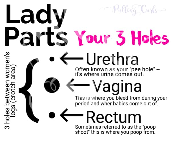 What Is A Womens Pee Area Called What Is A Womens Pee Area Called
