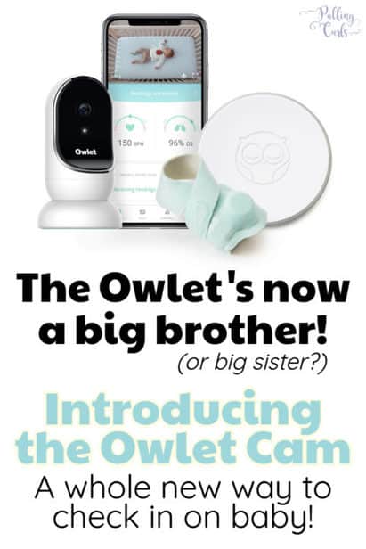 owlet camera not connecting to wifi