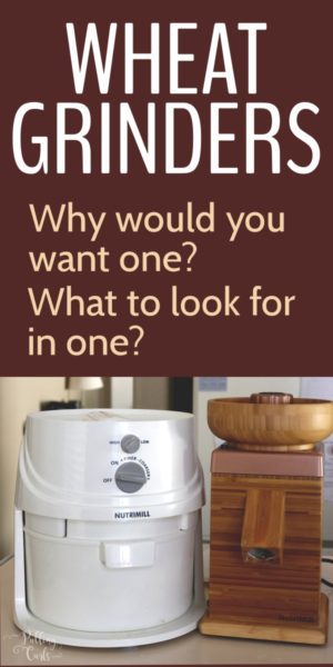 what to look for in a grain mill