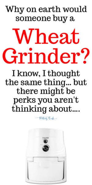 Why on EARTH would someone buy a wheat grinder or grain mill? Here are a few things you're ont thinking about.... #wheat #wheatgrinder #baking why buy a grain mill?