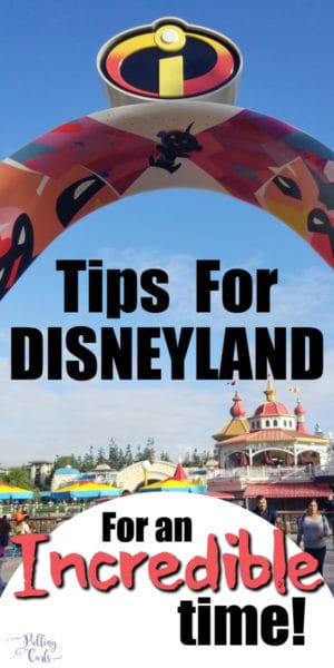 Secret Disneyland Tips!