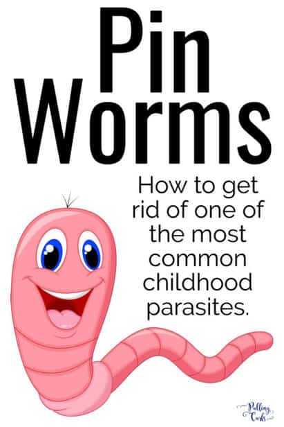 pin worm treatment