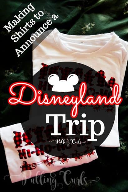 Disneyland Christmas shirts