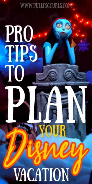 Disneyland plan