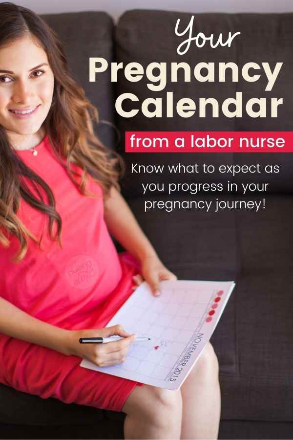 This pregnancy calendar will give you your due date, and a timeline for your weekly plans to stay on track. From conception, when to annouce and even things to bullet journal in 2021 this pregnancy calculator is just for you! via @pullingcurls