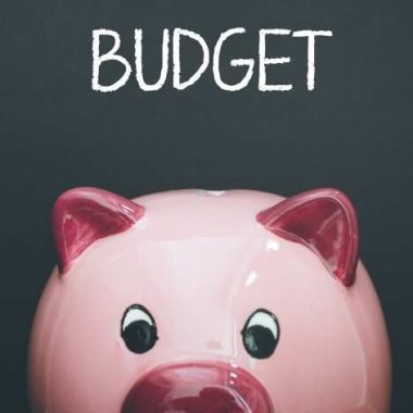 piggybank "budget"