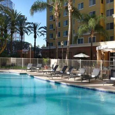 Hotel swimming pool with palm trees and lounge chairs.