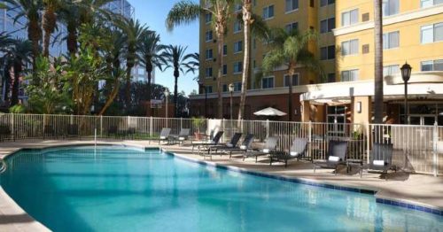 Hotel swimming pool with palm trees and lounge chairs.