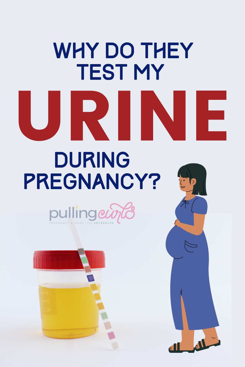 Having protein in your urine while as a pregnant woman isn't too unusual, but when the results start to be +1 or +2 your doctor will start to become more concerned, as you enter the third trimester. Let this L&D RN tell you exactly why this happens, why they test your urine sample and why it's a problem. via @pullingcurls