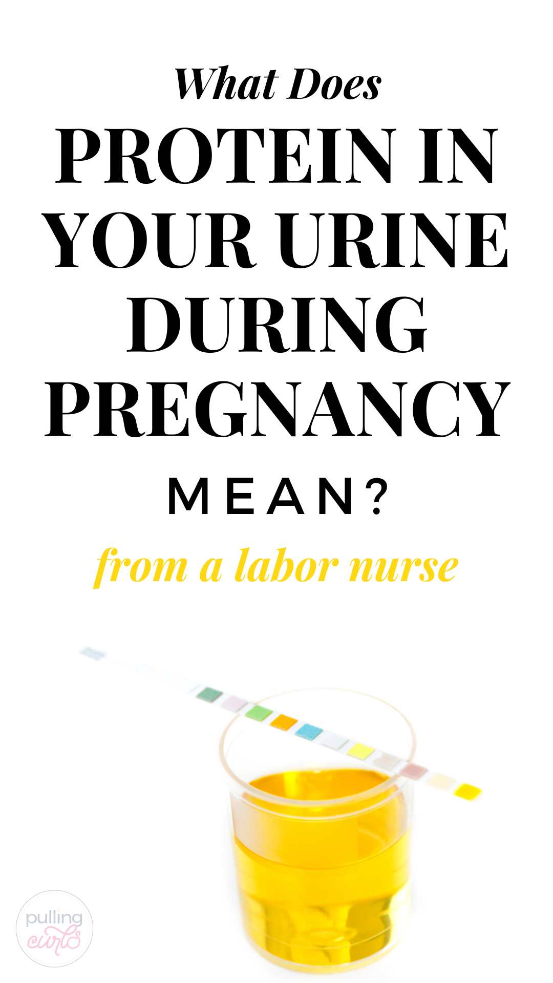 Having protein in your urine while as a pregnant woman isn't too unusual, but when the results start to be +1 or +2 your doctor will start to become more concerned, as you enter the third trimester. Let this L&D RN tell you exactly why this happens, why they test your urine sample and why it's a problem. via @pullingcurls