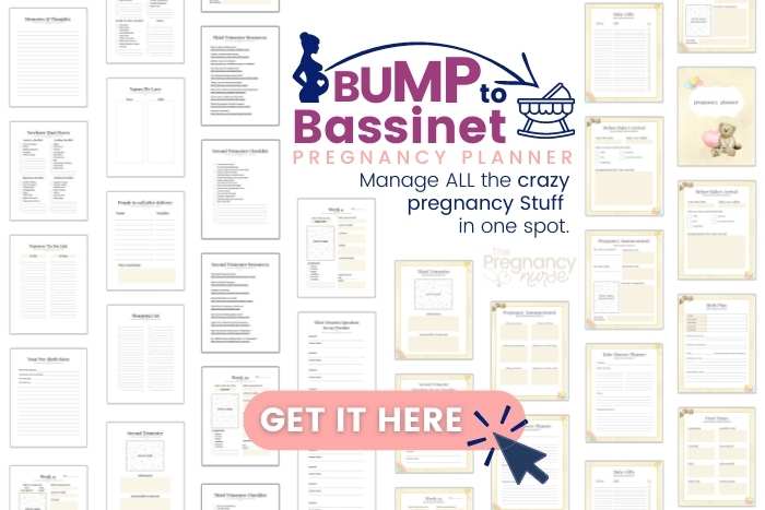 bump to bassinet planner Manage ALL the crazy pregnancy Stuff in one spot