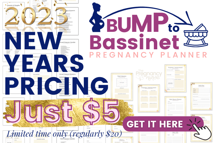 2023 new years pricing just $5 on the bump to bassinet pregnancy planner -- get it here