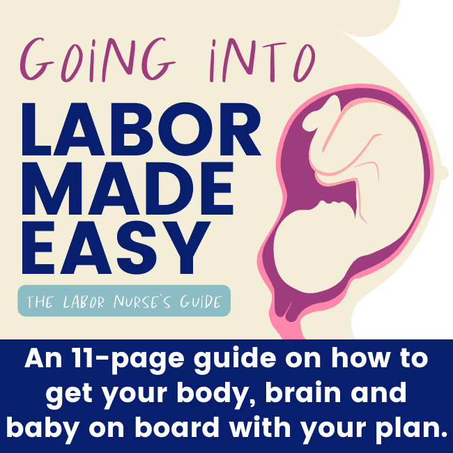 An 11-page guide on how to get your body, brain and baby on board with your plan.