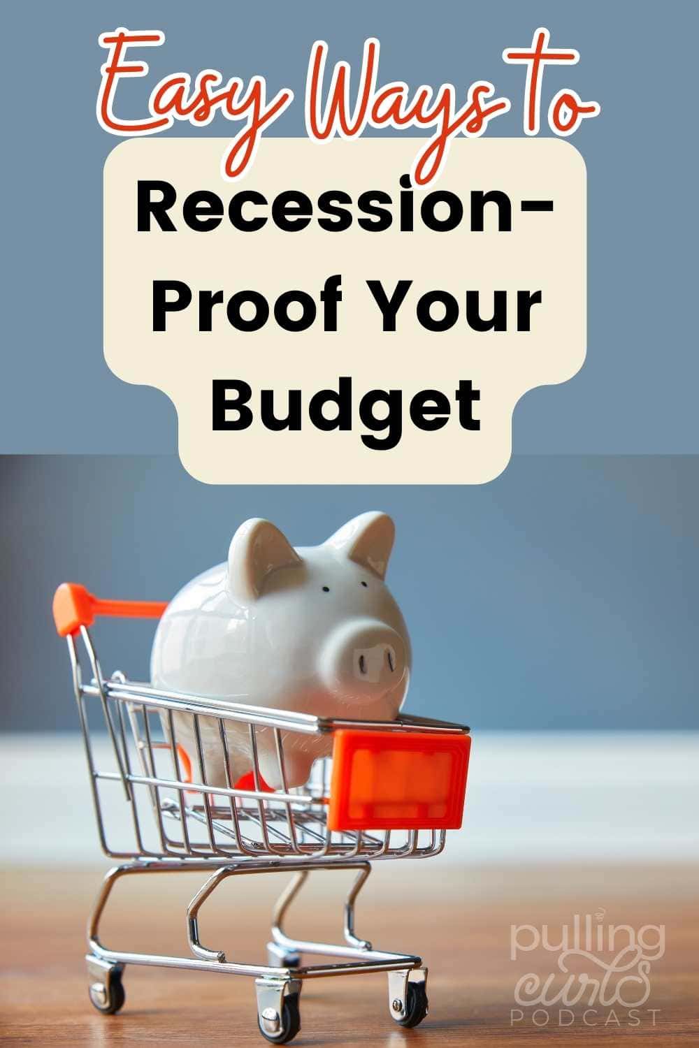 Take control of your family budget! Recession-proof your family budget has the tools and guidance to help you make the most of your finances and live a stress-free life. Get started now and ! via @pullingcurls