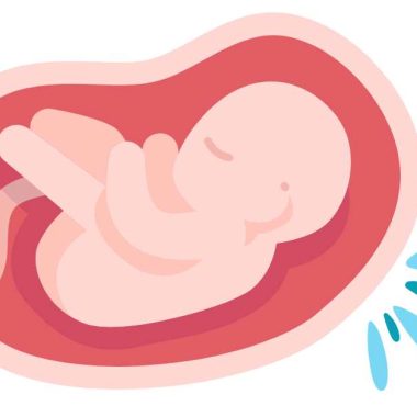 fetus in the amniotic sac