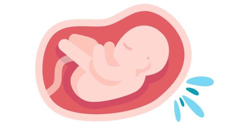 fetus in the amniotic sac