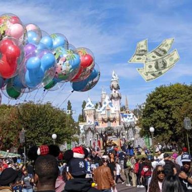 Disneyland park / money