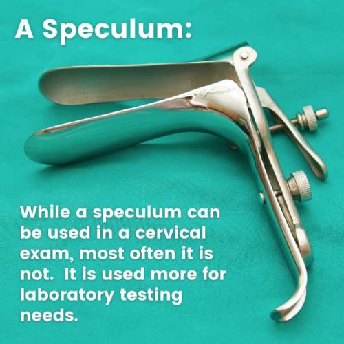 The speculum - While a speculum can be used in a cervical exam, most often it is not. It is used more for laboratory testing needs.