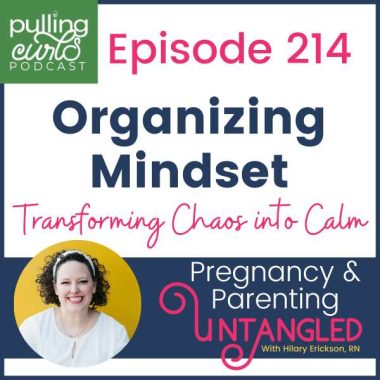 episode 216, The ORganizing Mindset: Transforming Chaos into Calm