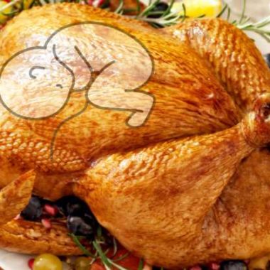 picture of a turkey with a fetus super-imposed.
