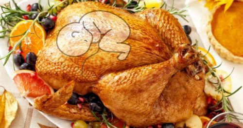 picture of a turkey with a fetus super-imposed.