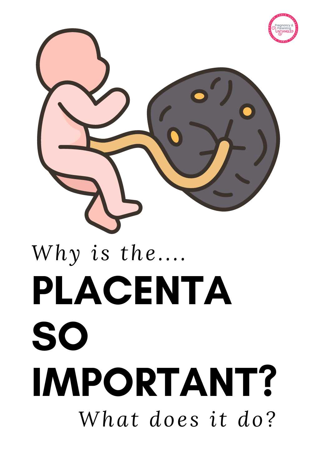 Discover the amazing facts about the placenta, the essential organ for baby growth during pregnancy. Learn about its shape, functions, and its role in keeping the pregnancy running smoothly. Explore how the placenta transfers nutrients, creates hormones, and even communicates with the immune systems of the mother and baby. Uncover the fascinating details about stem cells and their impact on maternal healing. Don't miss out on understanding the wonders of the placenta, a true marvel of nature. via @pullingcurls