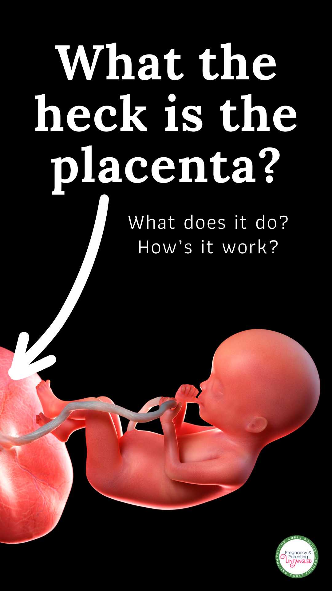 Discover the amazing facts about the placenta, the essential organ for baby growth during pregnancy. Learn about its shape, functions, and its role in keeping the pregnancy running smoothly. Explore how the placenta transfers nutrients, creates hormones, and even communicates with the immune systems of the mother and baby. Uncover the fascinating details about stem cells and their impact on maternal healing. Don't miss out on understanding the wonders of the placenta, a true marvel of nature. via @pullingcurls