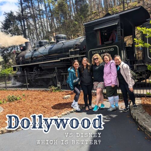 Dollywood train with friends