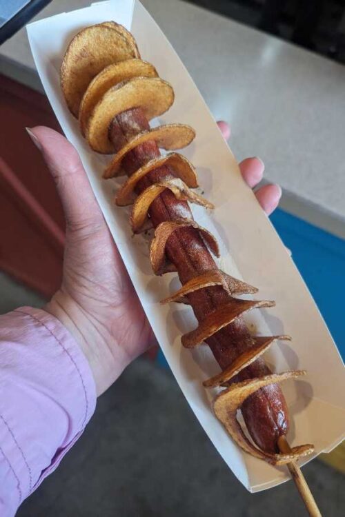 hot dog with potato wrap at Dollywood