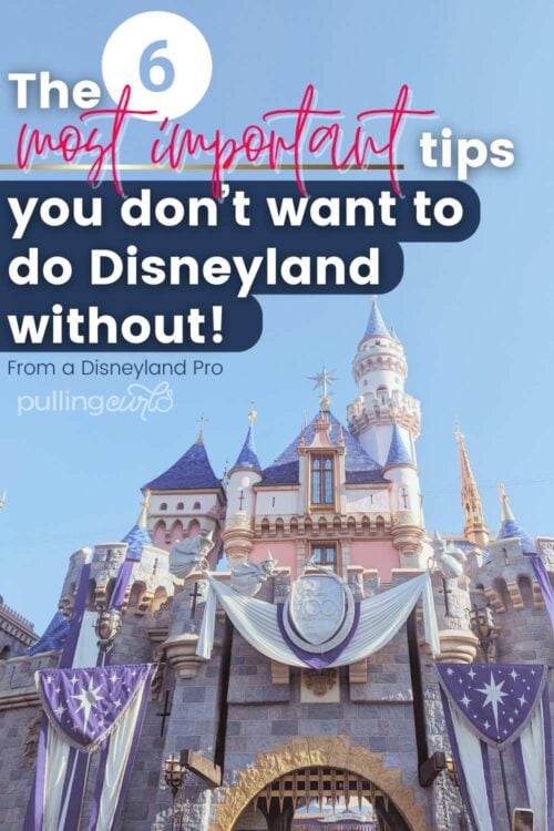 Disneyland castle/ the 6 most important tips you don't want to Disneyland without from a Disneyland pro