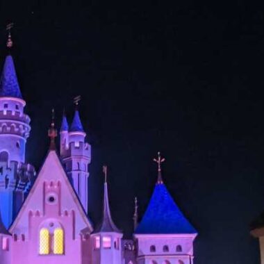 Disneyland castle from the back at night