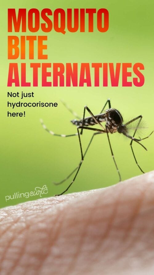 mosquito biting skin -- mosquito bite alternatives